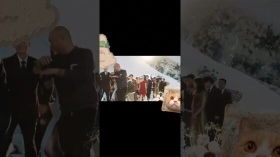 88296D284E56594E24F3933D59739856