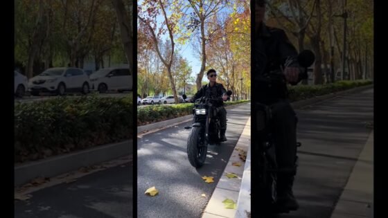 91Ec6Ba7B1669Ed3C84947Fd6Ac1B7E5