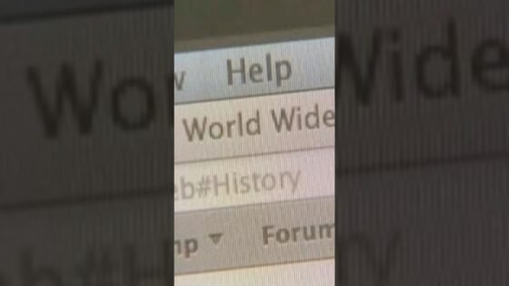 3Bdc5C0D58D9F58453Fcd4F53594438B